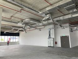 Jackson Design Hub (D19), Factory #531770401